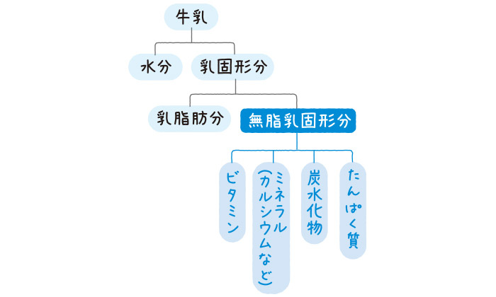 「無脂乳固形分」ってなに