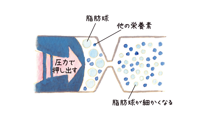 「ノンホモ」と「ホモジナイズ」、どっちがいいの